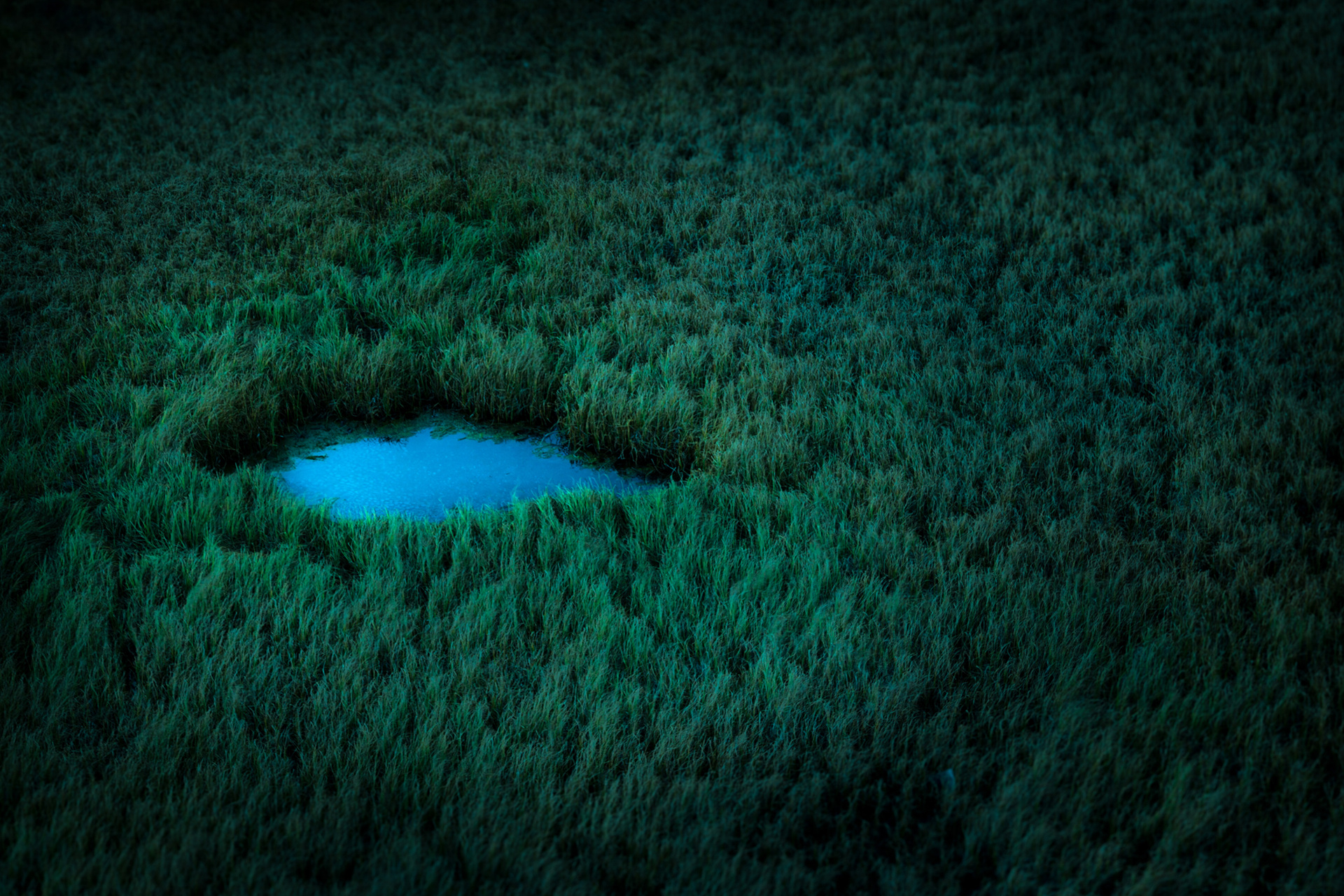 Photograph from UNNAMED DARKNESS